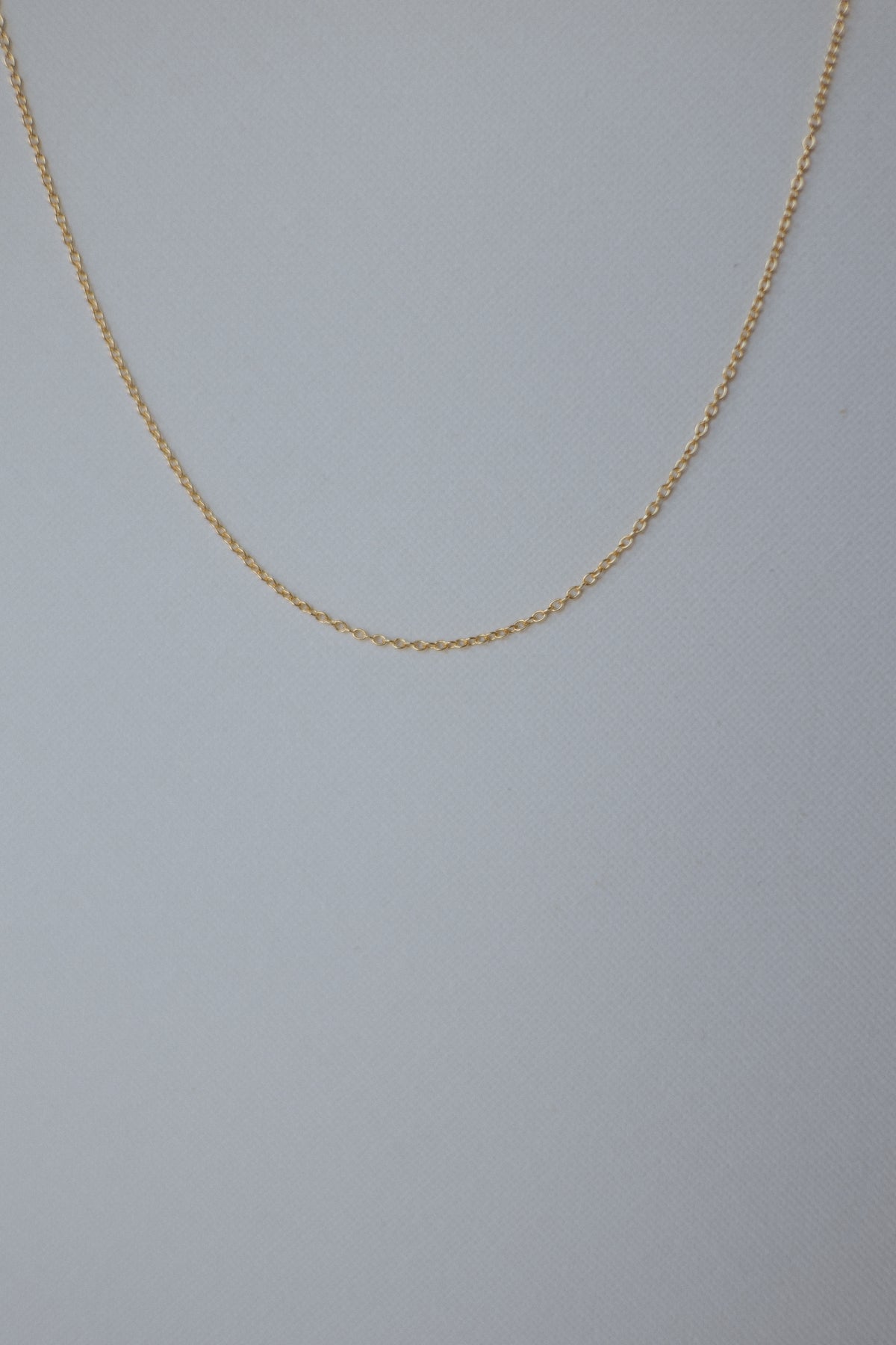 Chain and Initial Necklace